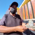 Artesanía en piedra rescata la tradición minera andacollina