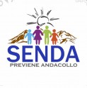 Invitan a zumbatón familiar y corrida