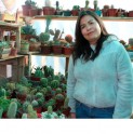 “Cactario Andacollo” una alternativa para adquirir cactus y suculentas cultivados en nuestra comuna