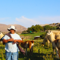 Crianceros: una actividad ancestral que sobrevive en la modernidad