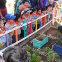 Niños y Niñas de jardín Mundo de Amor  de Andacollo visitaron la oficina de la OPD para plantar almácigas
