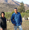Carlos Galleguillos y Lidia Pizarro: Un matrimonio que dedica su vida a hermosear Los Caletones