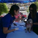 Gran cantidad de andacollinos participó con sus mascotas en operativo veterinario