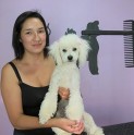Joven madre andacollina instala peluquería para mascotas