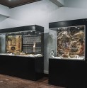 Sala Museográfica Yahuín reabrió sus puertas al público andacollino