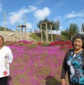 Vecinas de la Nueva Churrumata recuperan sitio eriazo para la comunidad
