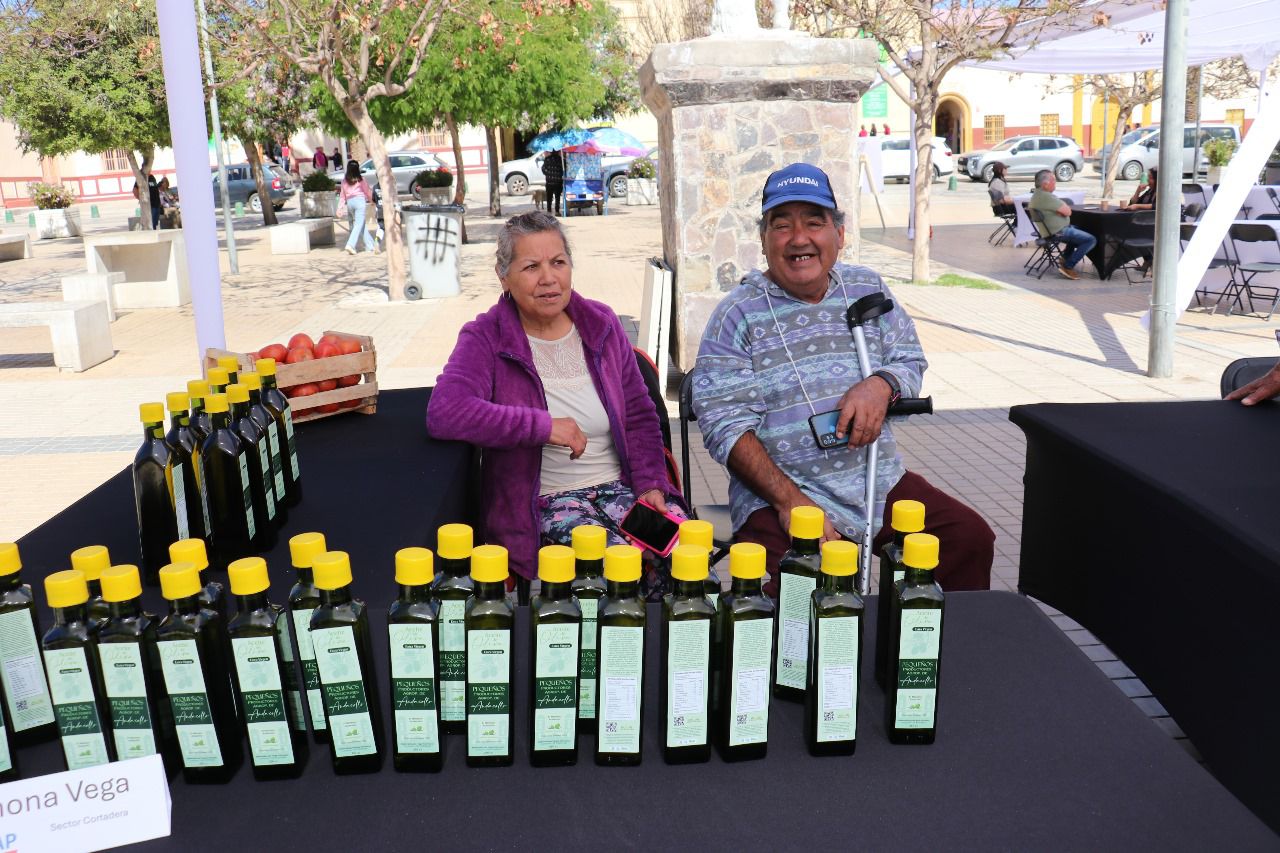 Productor andacollino destaca en la elaboración de aceite de oliva en el sector La Cortadera