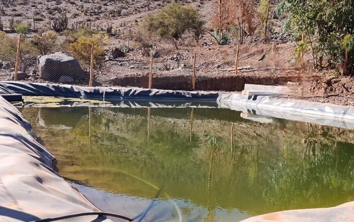 INDAP da a conocer el calendario de postulación del llamado a concurso del Bono Legal de Aguas (BLA), modalidad Operación Temprana